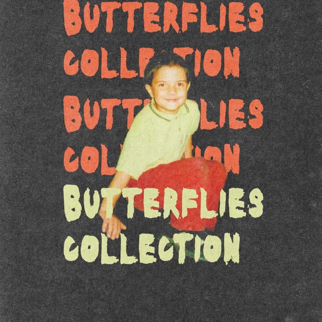 Butterflies collection cover